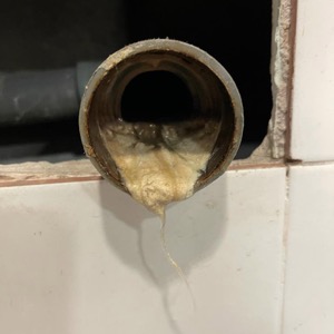 Desembussament i neteja d'urinaris a Barcelona